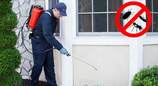 Etimesgut Bit İlaçlama böcek ilaçlama ve haşere kontrolü — ilaclama-tr.com